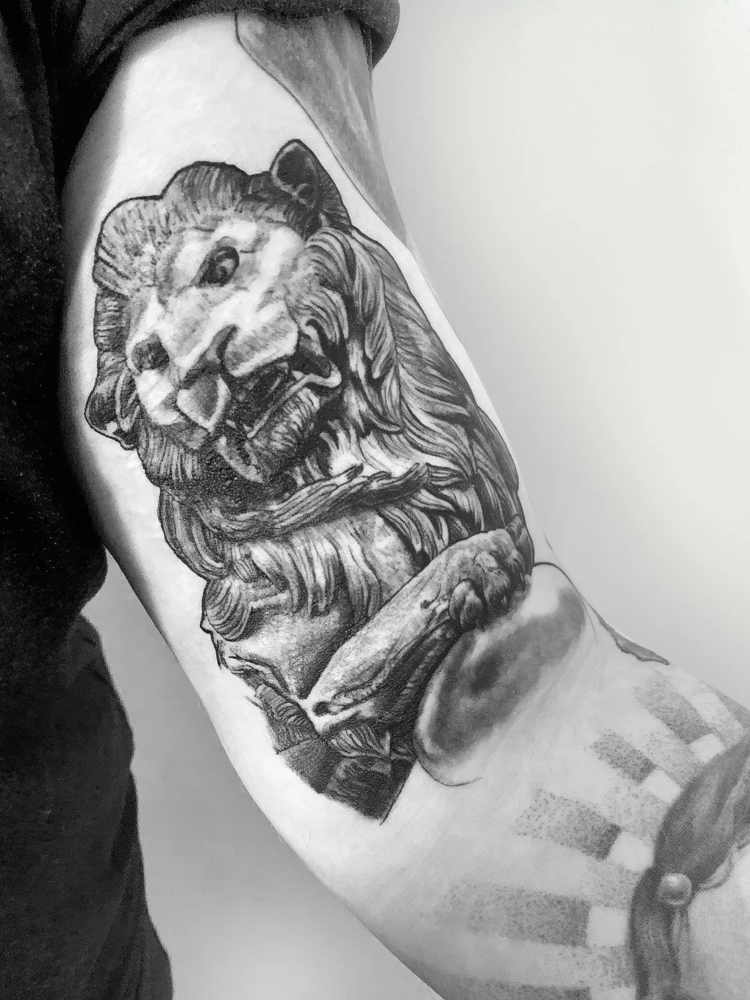 Tatouage réaliste lion en noir et blanc